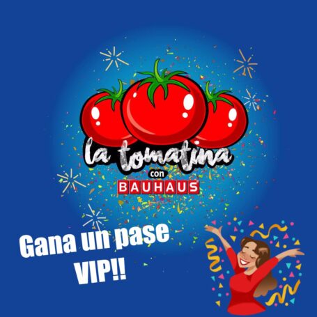 BAUHAUS LA TOMATINA Campaña Marketing DIgital Albert Lorente